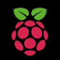 Raspi_dude